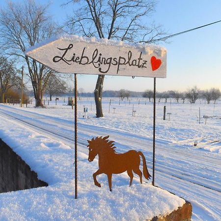 Ferienwohnung Auf Pferdehof Dreetz Eksteriør billede