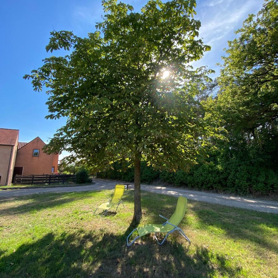 Ferienwohnung Auf Pferdehof Dreetz Eksteriør billede