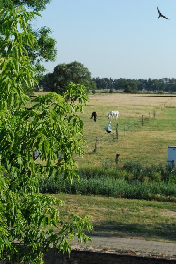 Ferienwohnung Auf Pferdehof Dreetz Eksteriør billede